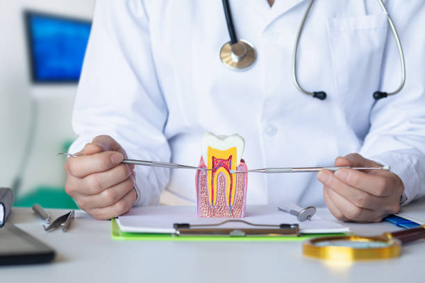 Best Emergency Orthodontic Repairs in Nyssa, OR